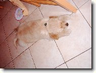 Max�k
