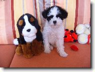 Hl�d�me spolu