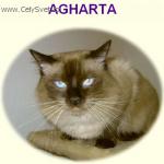 Chovatelska stanice ps�: AGHARTA CZ